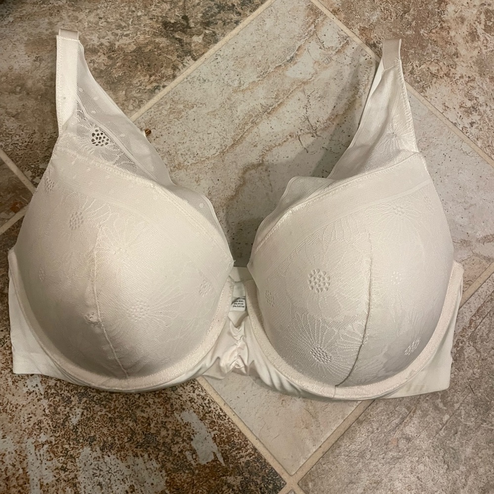 Aerie Plunge Push Up Bra
